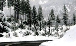 Ответственность пешеходов