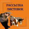 Как найти своего клиента? … с помощью рассылки листовок в оренбу