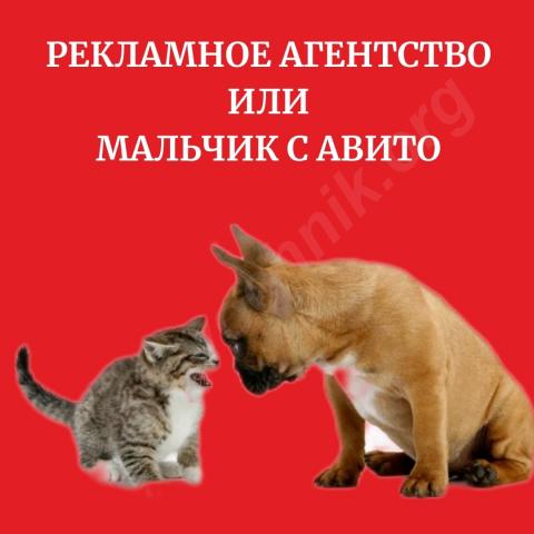 Рекламное агентство или мальчик с авито