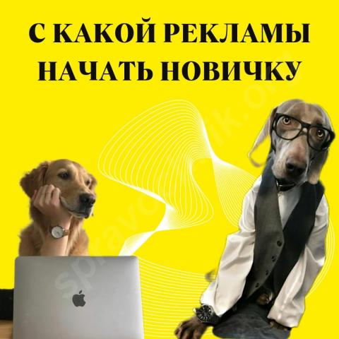 С какой рекламы в оренбурге начать новичку