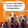 Раздача листовок будет работать только при …