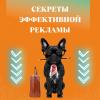 Секреты эффективной рекламы
