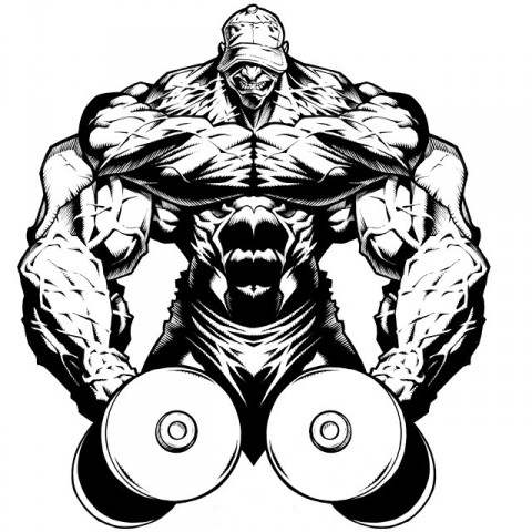 Магазин спортивного питания по низким, старым ценам