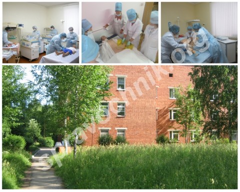 Образование. Ижевск