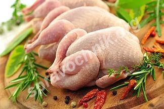 Halal Chiken (Халяль куры)