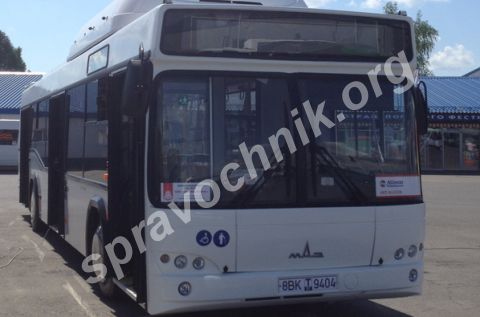 Автобус маз 103965