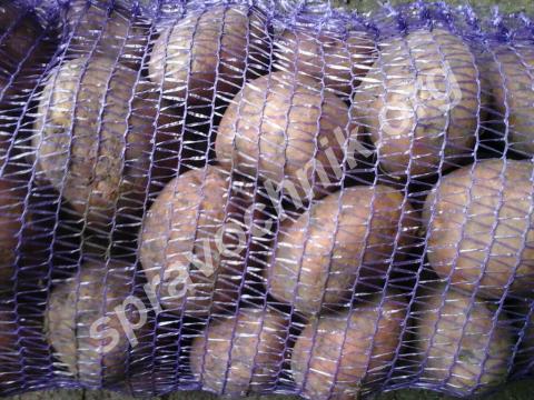 Картофель свежий, вкусный. Чебоксары