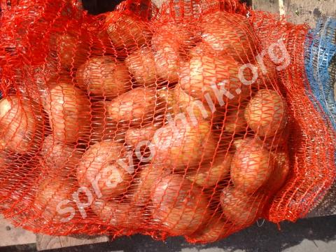 Мытый картофель. Чебоксары