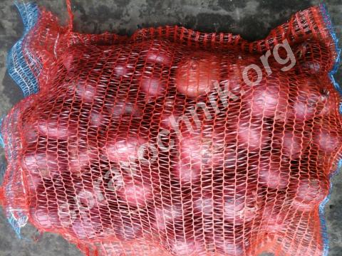 Красный лук. Чебоксары