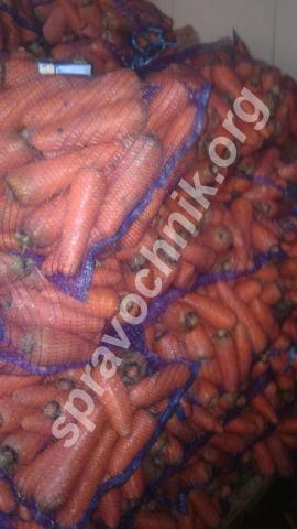 Крупная, мытая морковь. Чебоксары