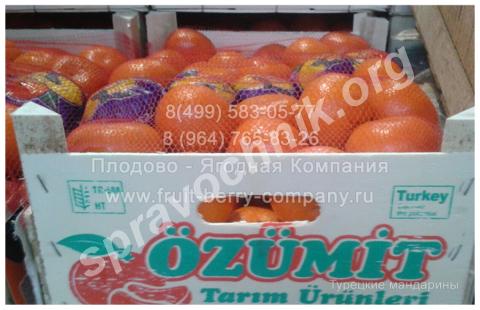 Мандарины израильские и турецкие, оптом от 10 кг