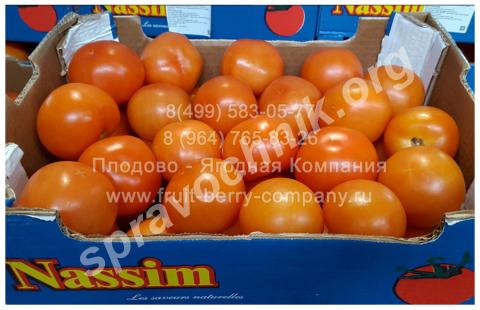 Помидоры, оптом от 4 кг