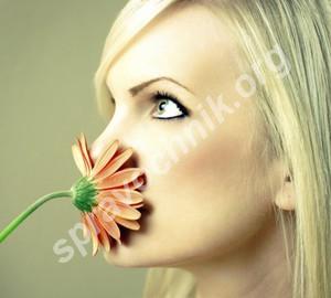 Ароматизация (удаление запахов), длина изделия до 1 метра