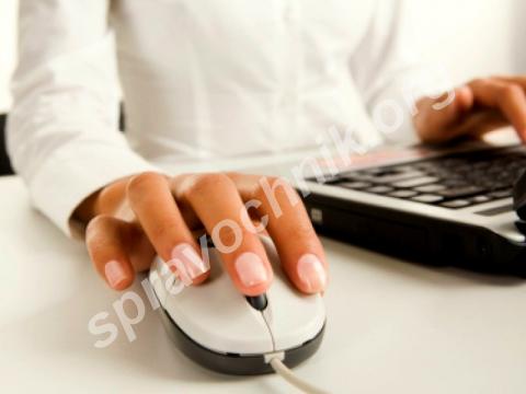 Курс "компьютерная грамотность (ms office: word, excel)"