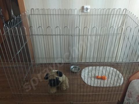 Вольеры для щенков. Красноярск