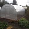 Теплица 3*4