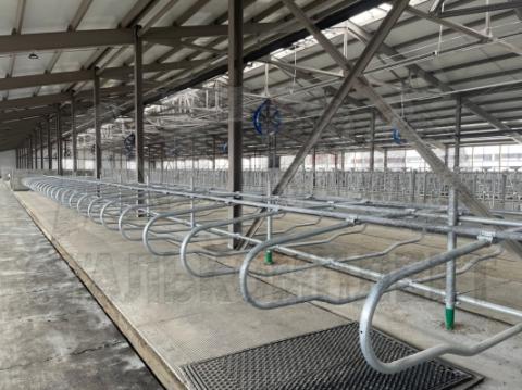 Оборудование для беспривязного содержания крс