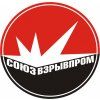 Союзвзрывпром, компания по буровзрывным работам