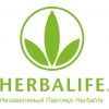 Независимый Партнер Гербалайф