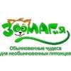 Зоомагия