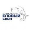ЕЛОВЫЙ СЛОН, дизайн-студия