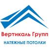 Вертикаль Групп, Компания